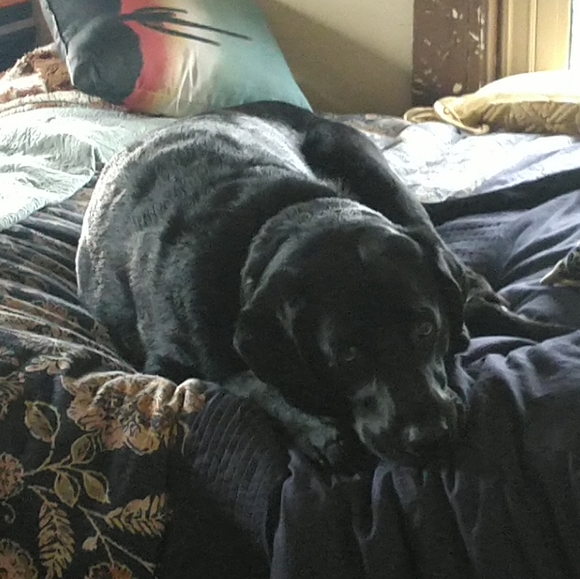 About Me. - Picture 2 of 4